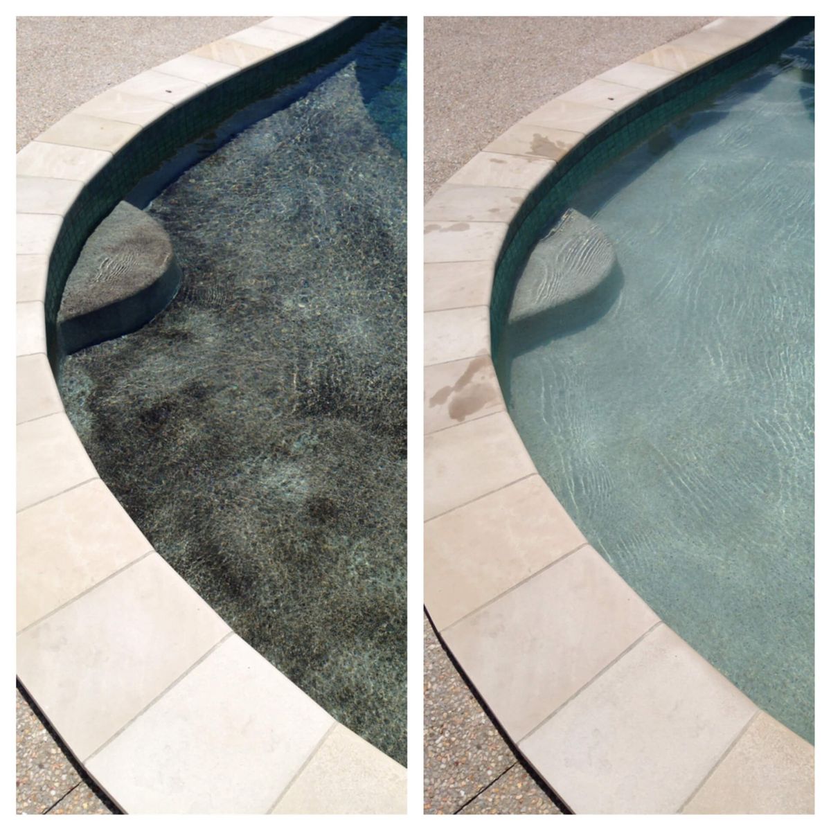 Piscine et bassin naturel d'un projet de Piscines naturelles près de Los Angeles - Long Beach - Anaheim de Serene Pools