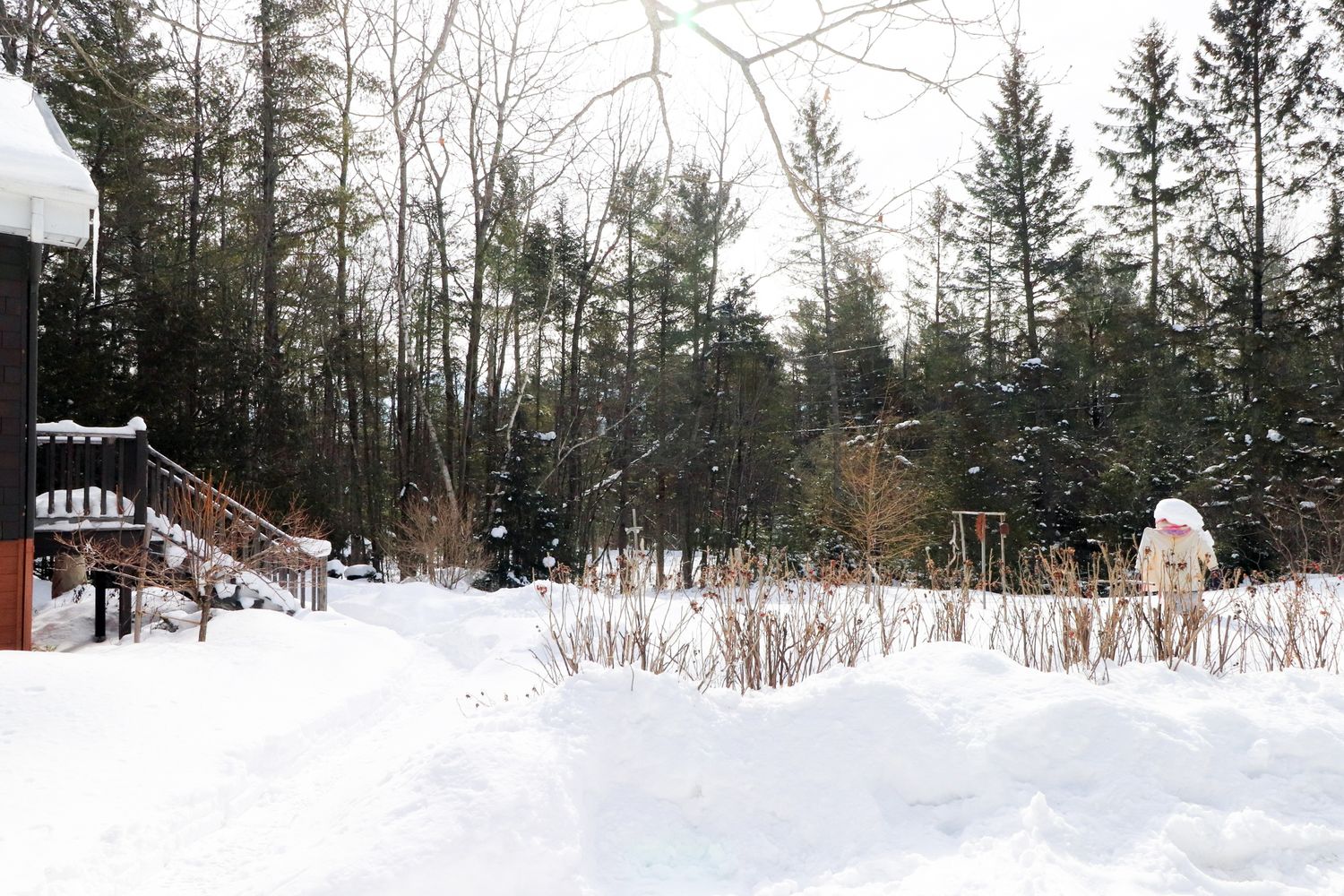 Cour arrière d'un projet de Maisons unifamiliales près de Sherbrooke (Estrie) de Claire Derome • courtière en immobilier résidentiel