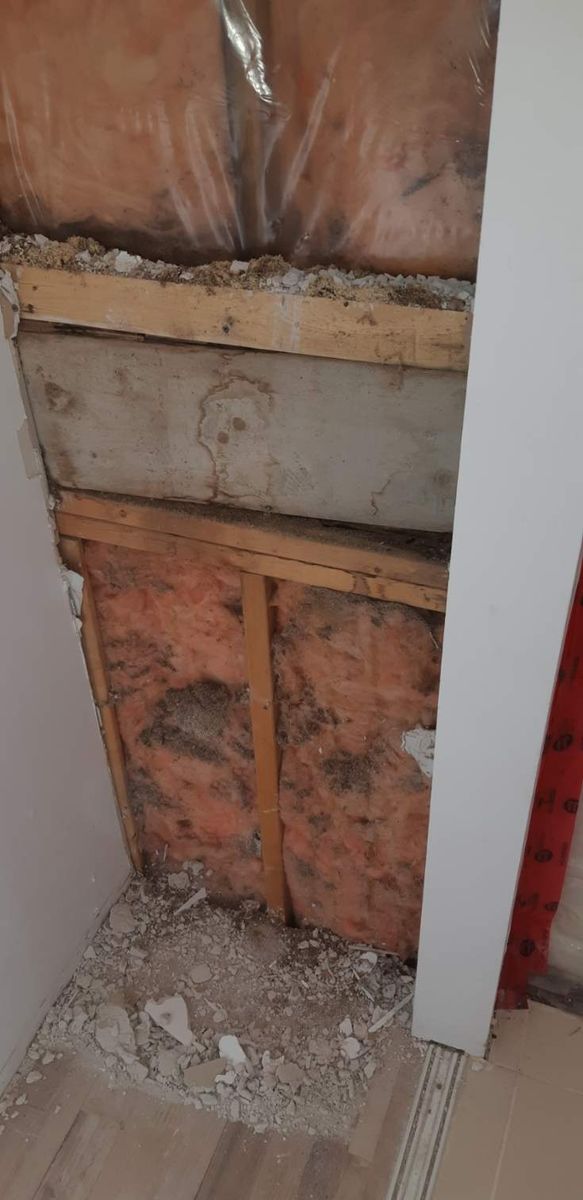 House Construction Interiors from a Building Structures project near Montreal (Greater Montreal) by Construction patco