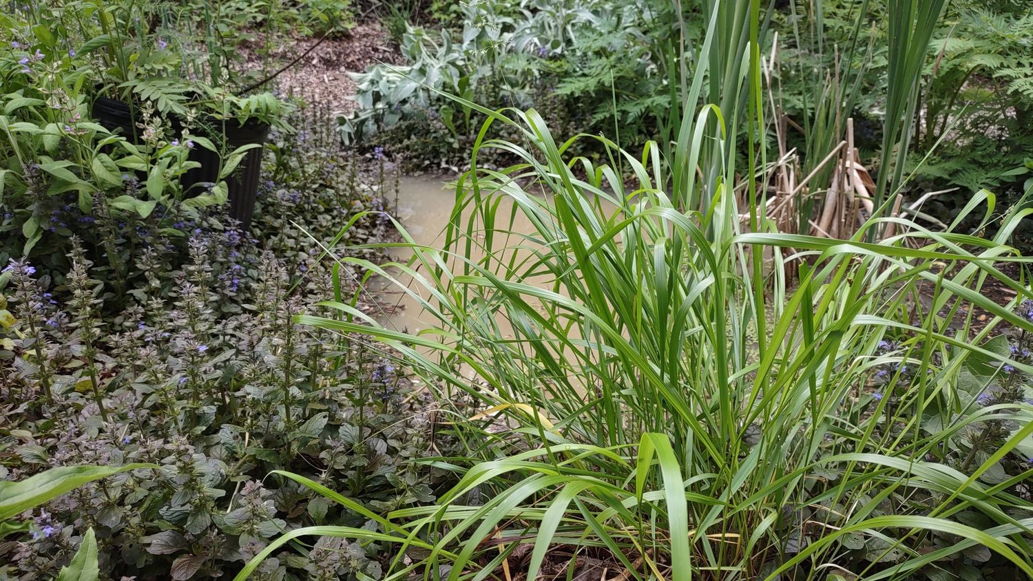 Garden from a Exterior Plants & Horticulture project near Granby - Bromont - Cowansville by Melissa Langlois - Design paysager