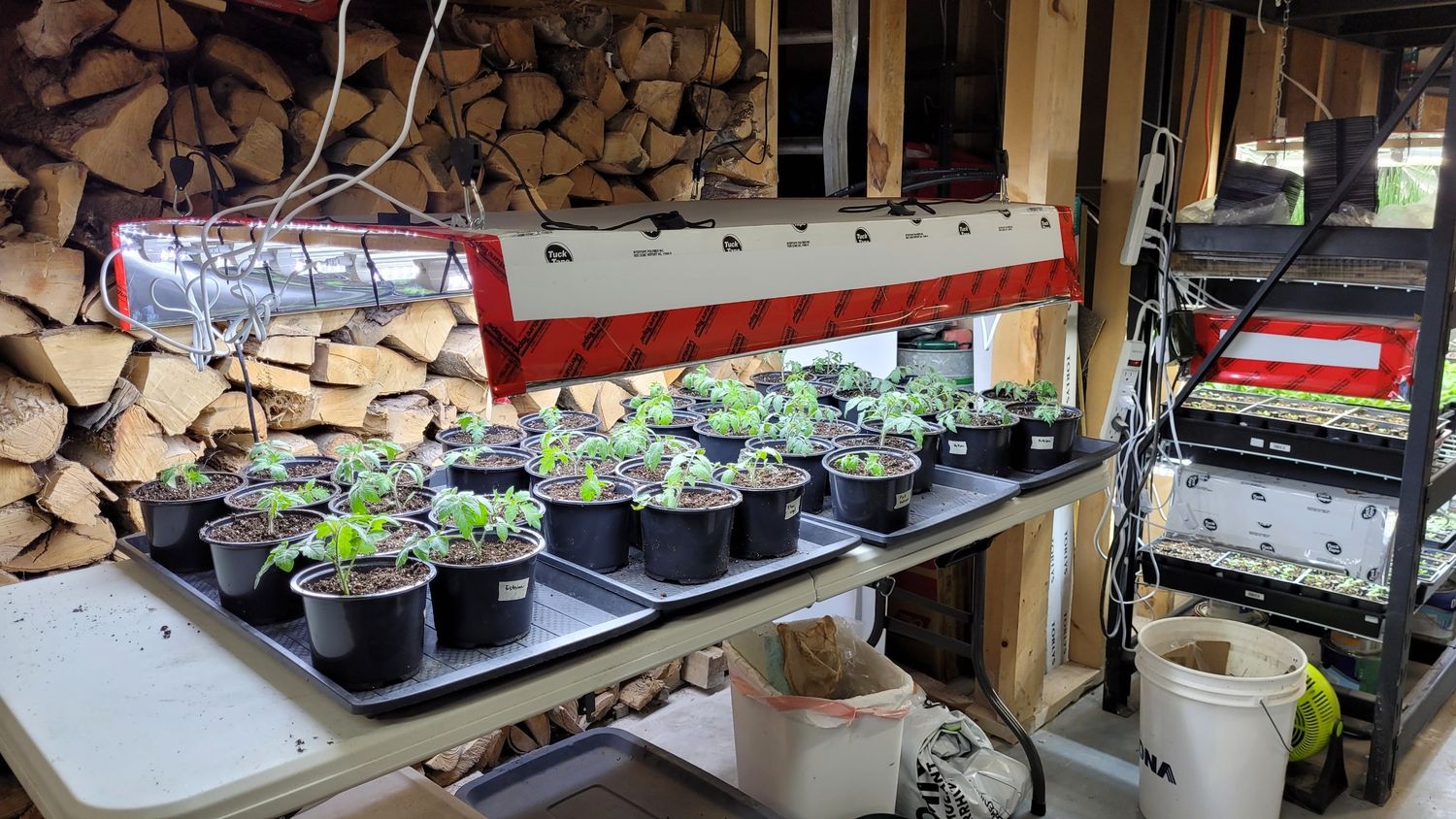 Land & Services from a Seedling project near Quebec City - Levis by AgroME-Consultant