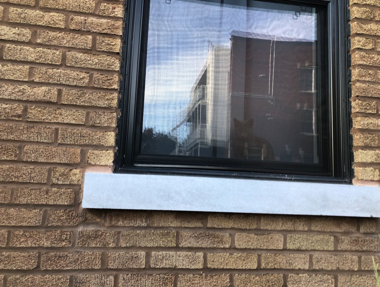 Exterior Finishes from a Home extensions project near Montreal (Greater Montreal) by psb