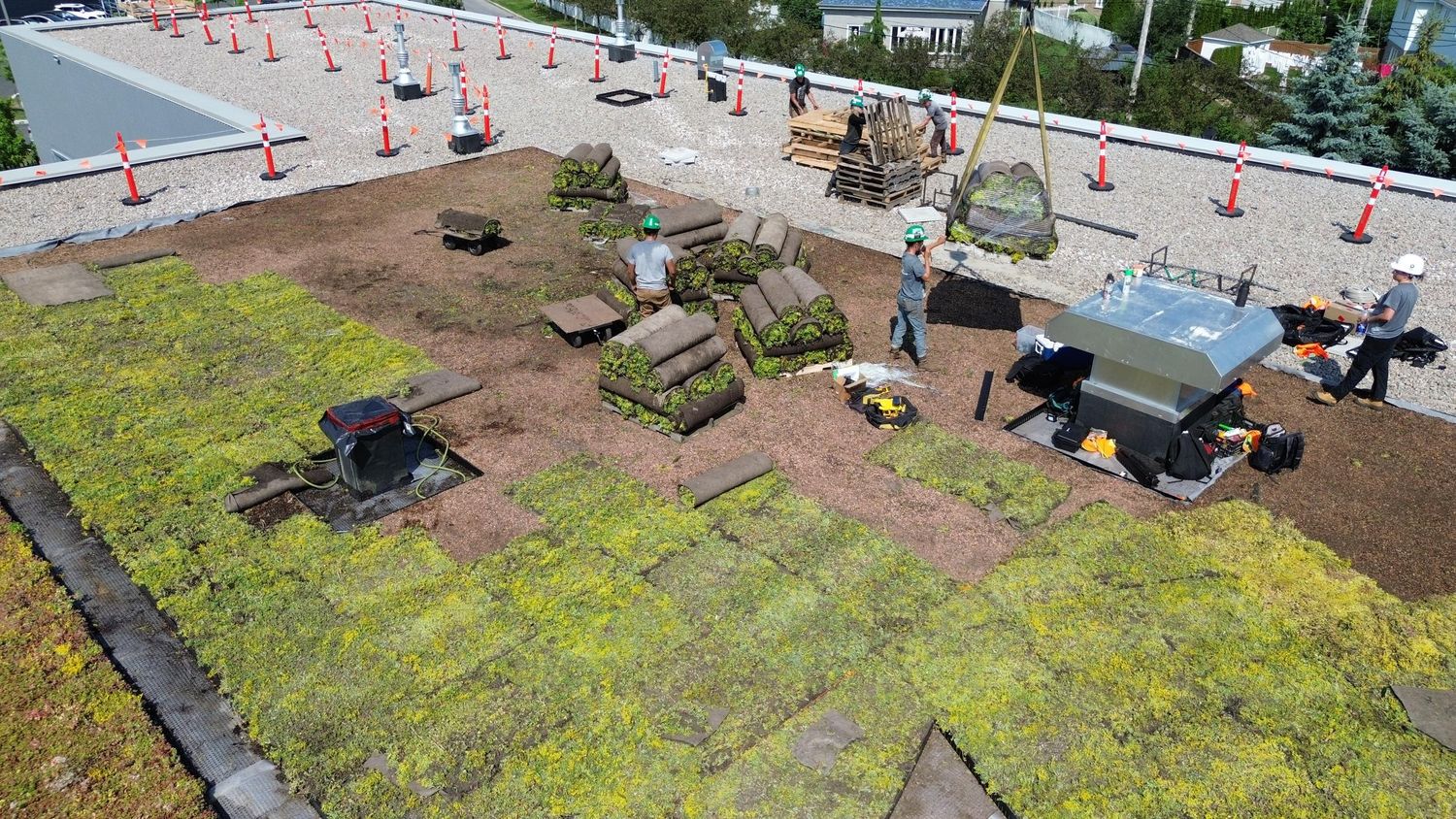 Techo y desván de un proyecto de tipo Techos verdes cerca de Montreal (Gran Montreal) por La Ligne Verte : Toit vert inc.