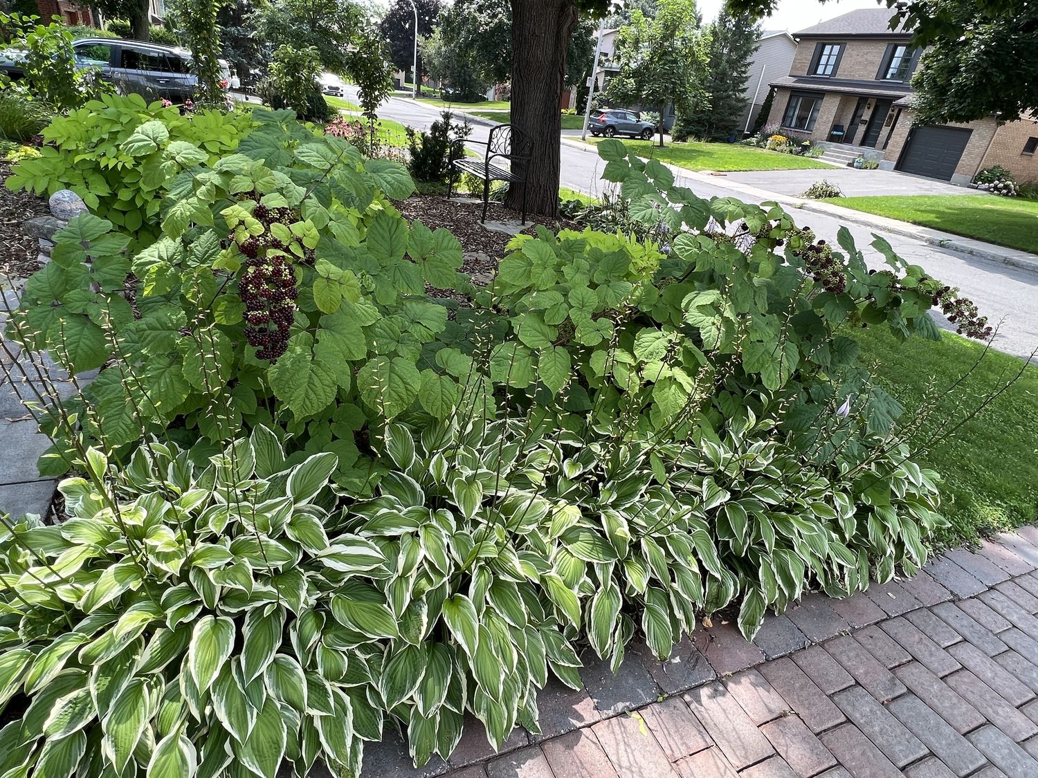 Front Yard from a Landscaping project near Montreal (Greater Montreal) by Paysage gourmand