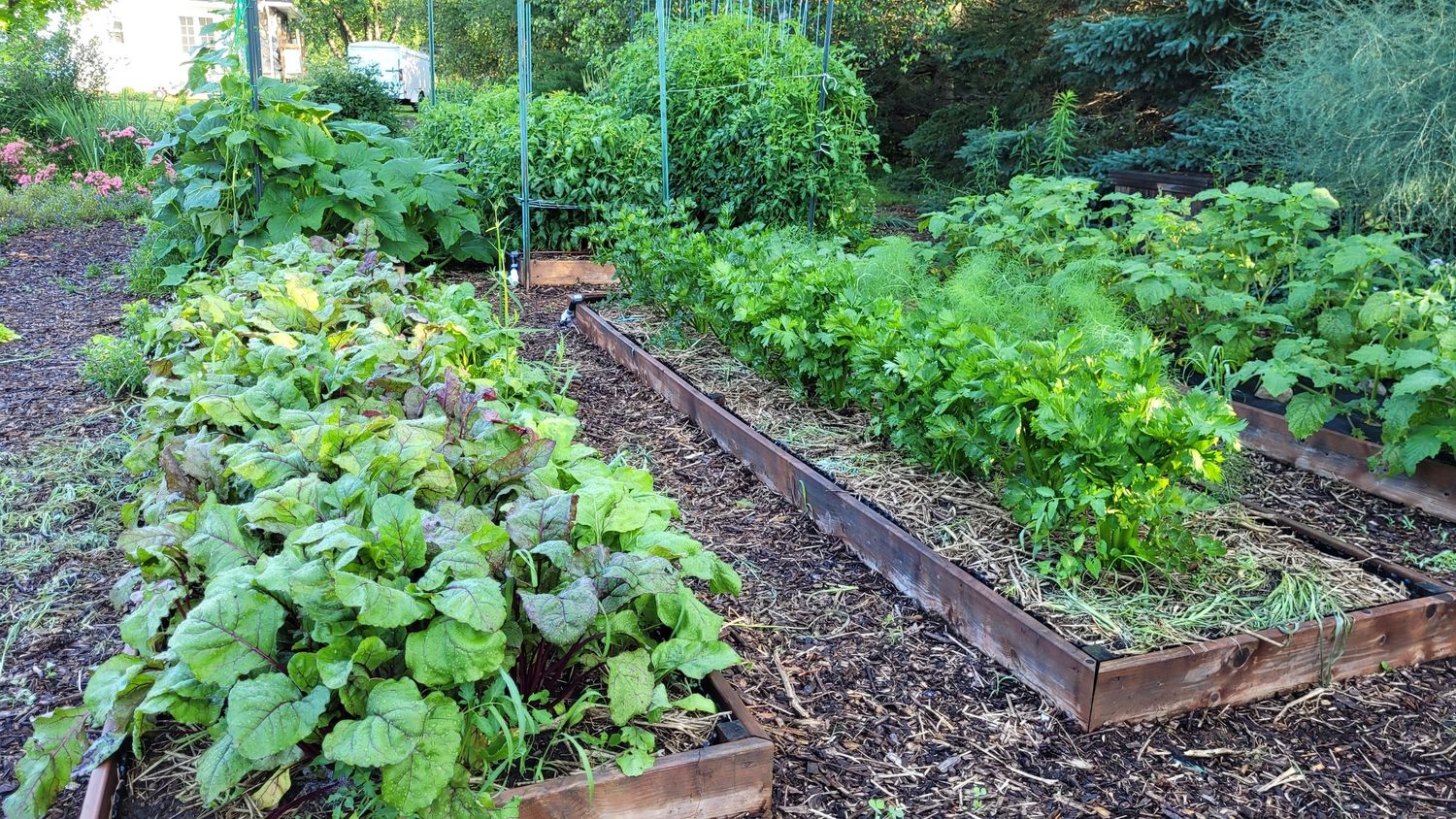 Garden from a Vegetable Garden project near Quebec City - Levis by AgroME-Consultant
