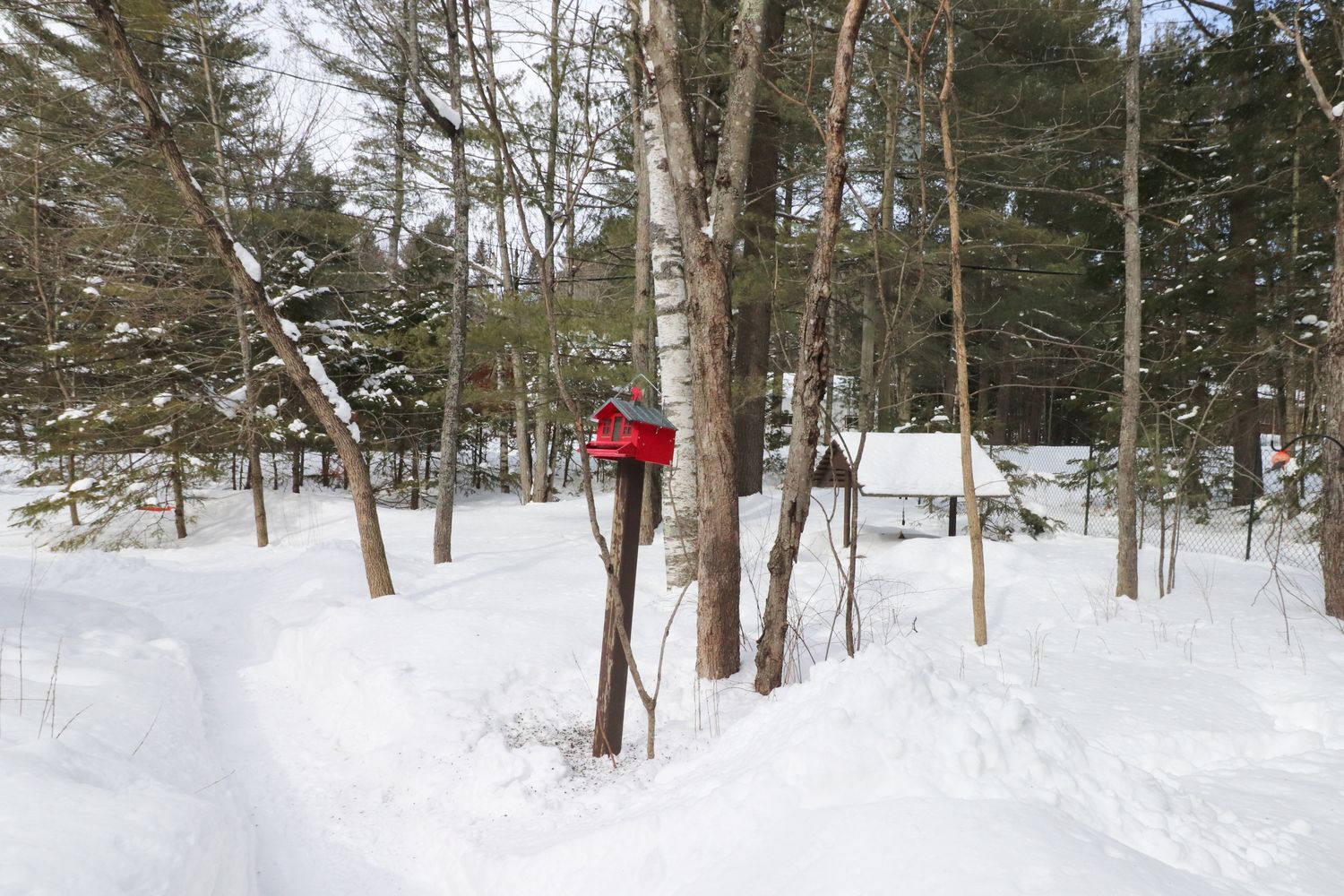 Cour arrière d'un projet de Maisons unifamiliales près de Sherbrooke (Estrie) de Claire Derome • courtière en immobilier résidentiel