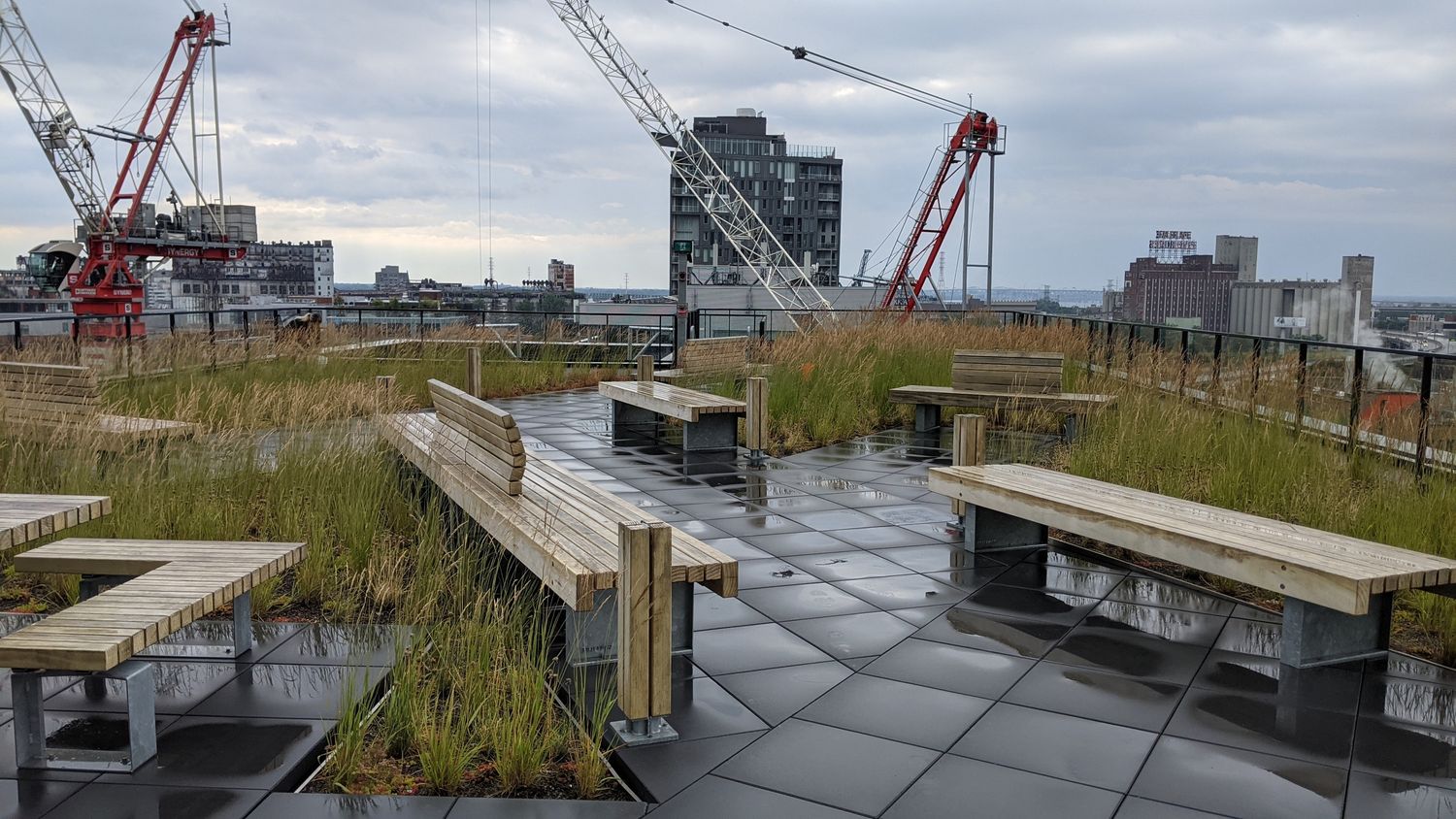 Toit terrasse d'un projet de Toitures végétalisées près de Montréal/Laval/Longueuil (Grand Montréal) de La Ligne Verte : Toit vert inc.