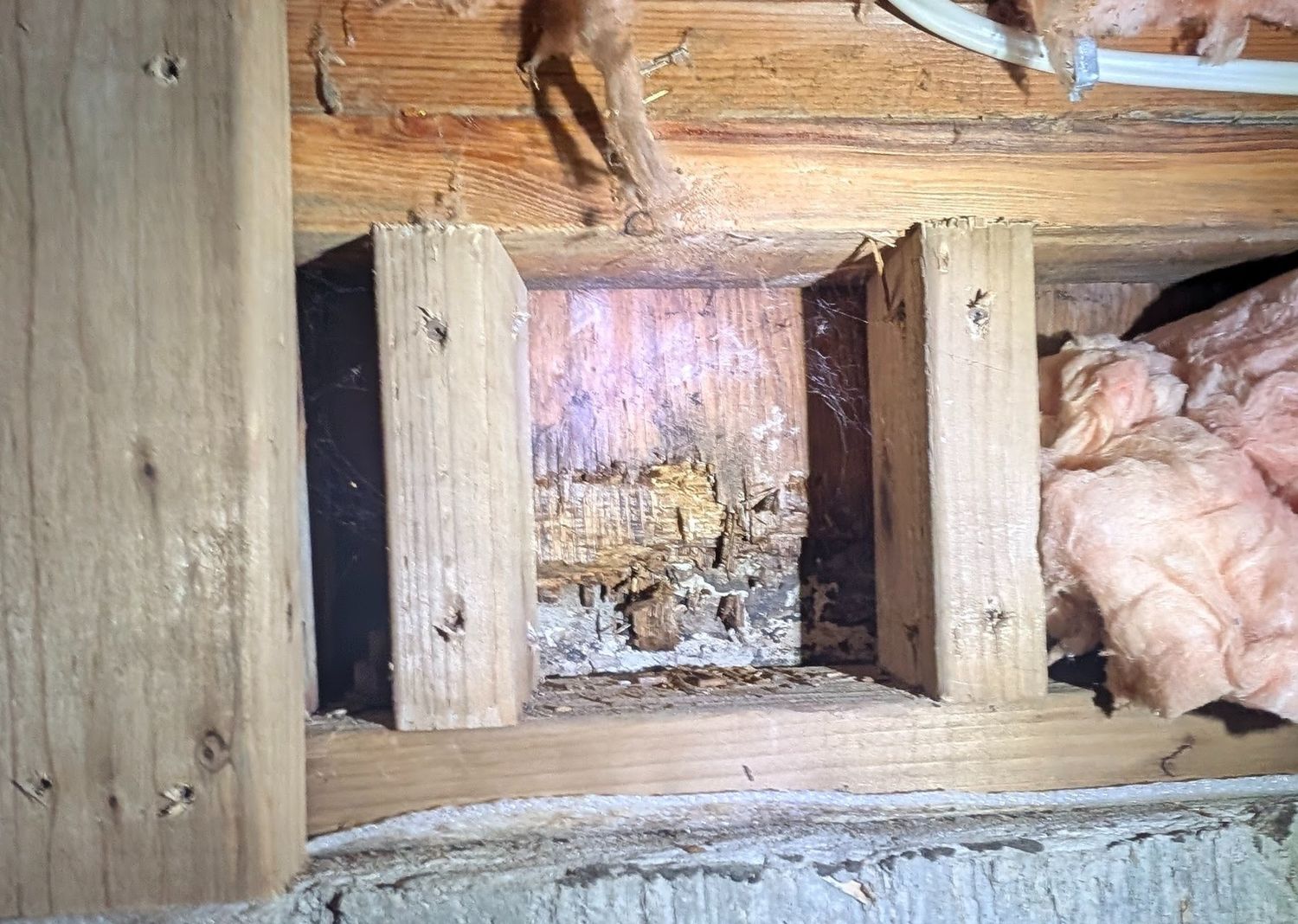 Foundations & Crawlspaces from a Crawlspaces project near Vancouver (Greater Vancouver) by Better Call Bob