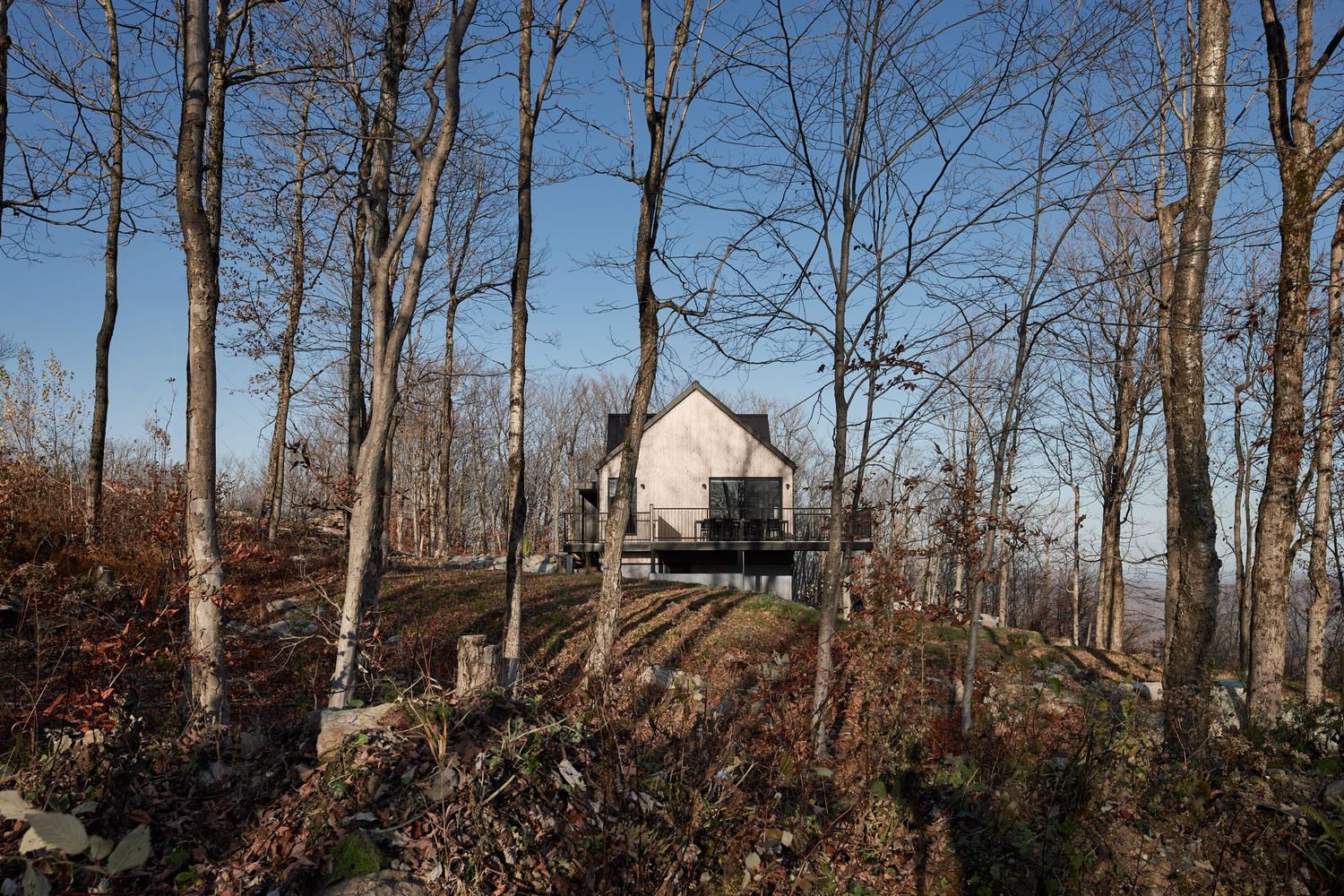 Cour arrière d'un projet de Maisons unifamiliales près de Granby/Bromont/Cowansville (Estrie) de Écorce architecture écologique