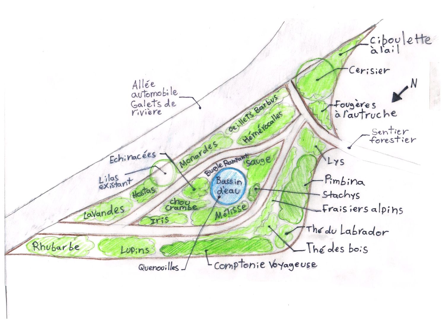 Landscaping Plan from a Exterior Plants & Horticulture project near Granby - Bromont - Cowansville by Melissa Langlois - Design paysager