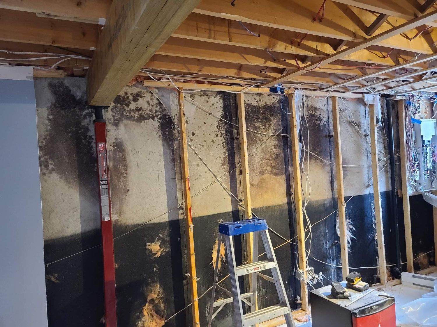Structures et ossatures d'un projet de Sous-sols près de Montréal/Laval/Longueuil (Grand Montréal) de Allo Inspecteur