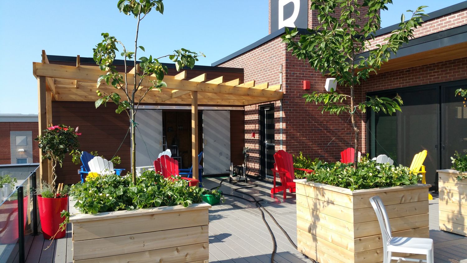 Jardin potager d'un projet de Agriculture urbaine près de Montréal/Laval/Longueuil (Grand Montréal) de La Ligne Verte : Toit vert inc.