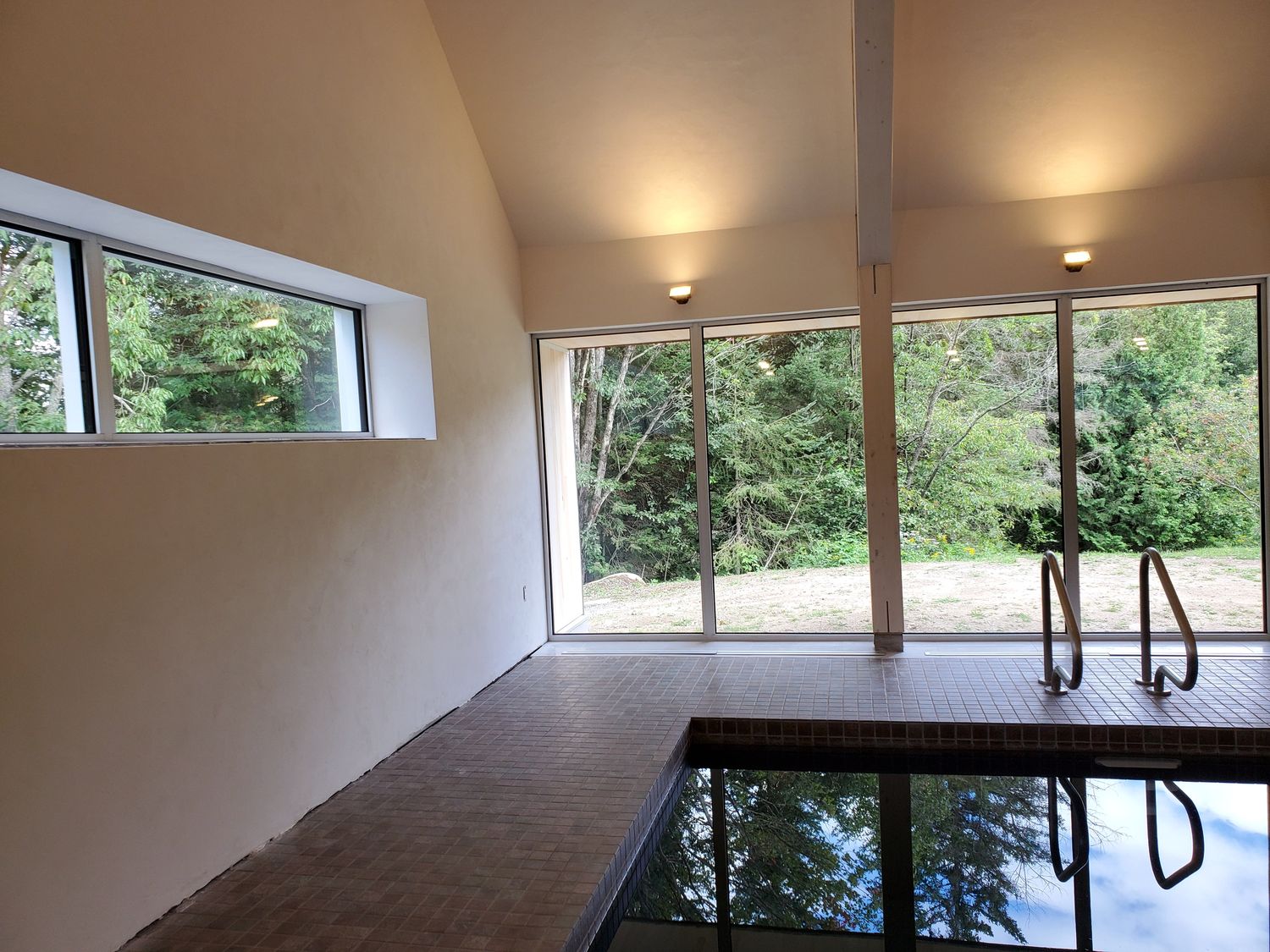 Pool & Natural Pond from a Natural plasters project near Montreal (Greater Montreal) by Distribution Tockay inc.