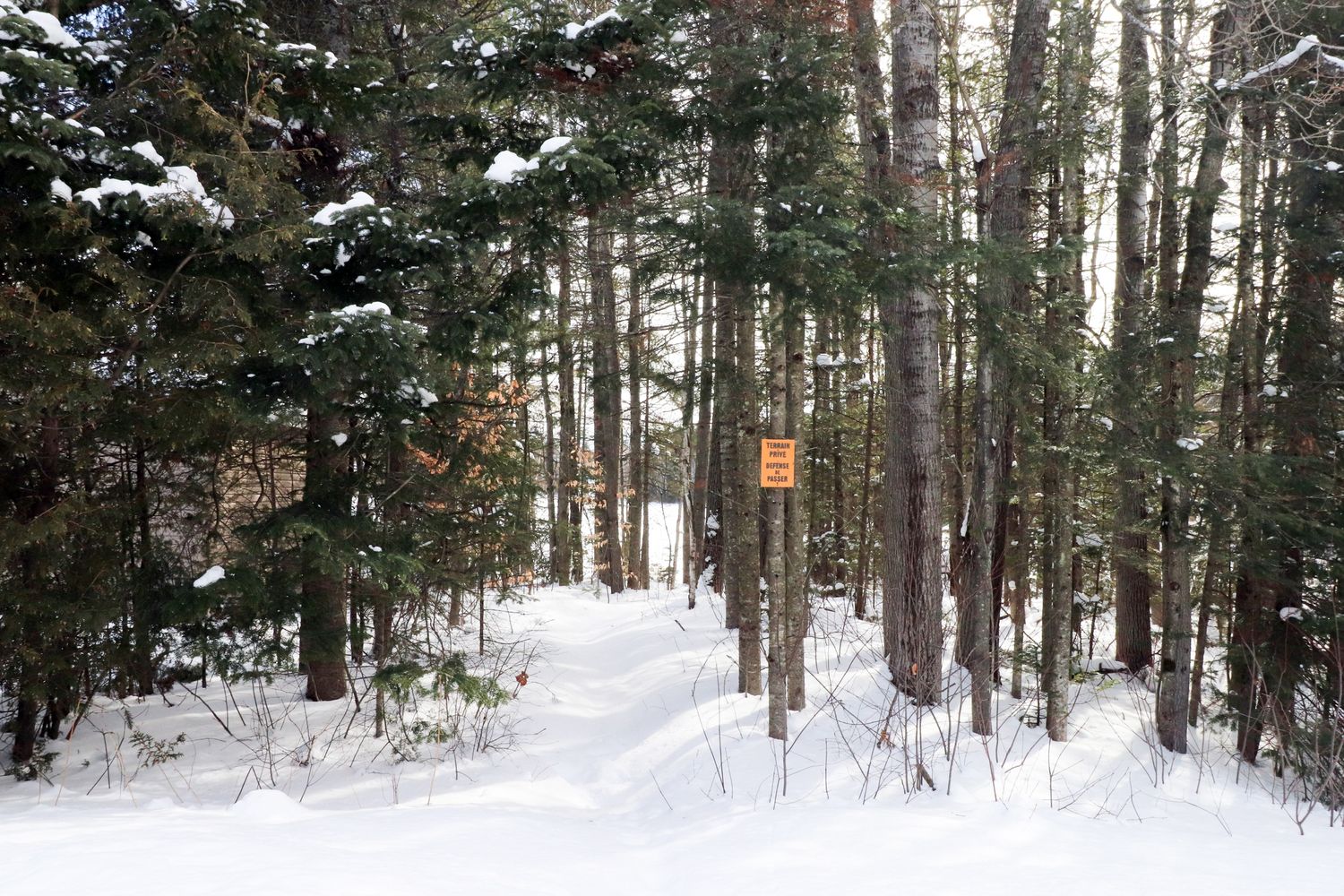 Cour arrière d'un projet de Maisons unifamiliales près de Sherbrooke (Estrie) de Claire Derome • courtière en immobilier résidentiel
