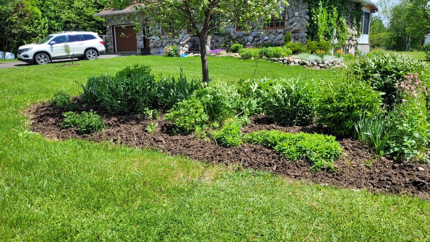 Front Yard from a Landscaping project near Quebec City - Levis by AgroME-Consultant