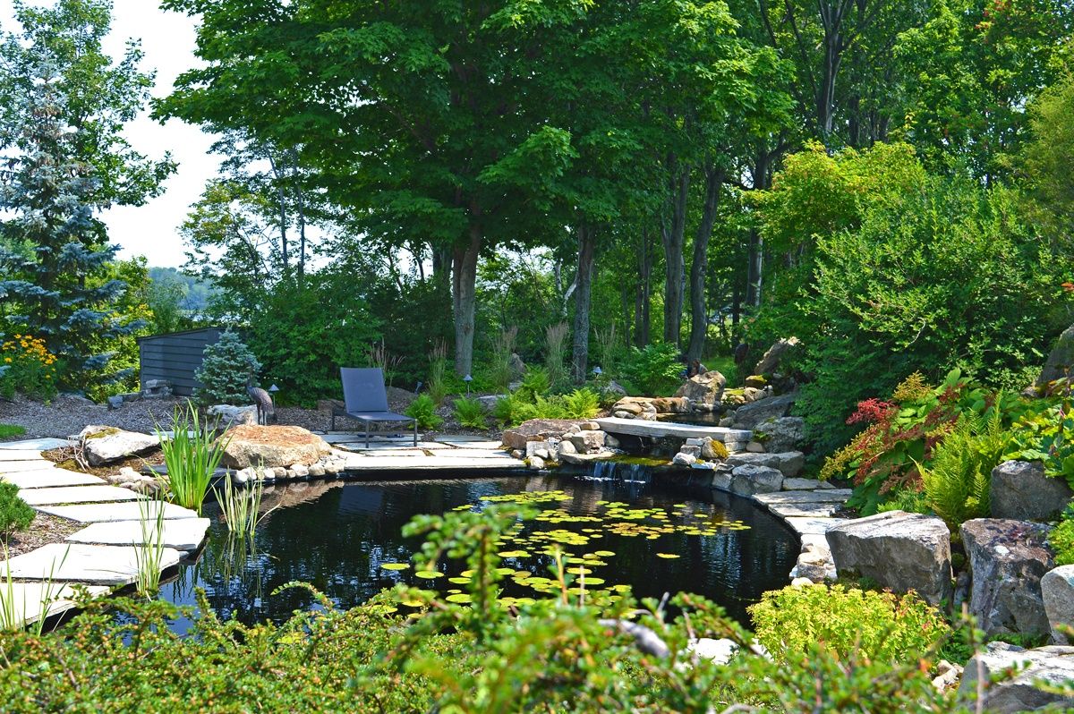 Pool & Natural Pond from a Garden ponds project near Quebec City - Levis by Repères