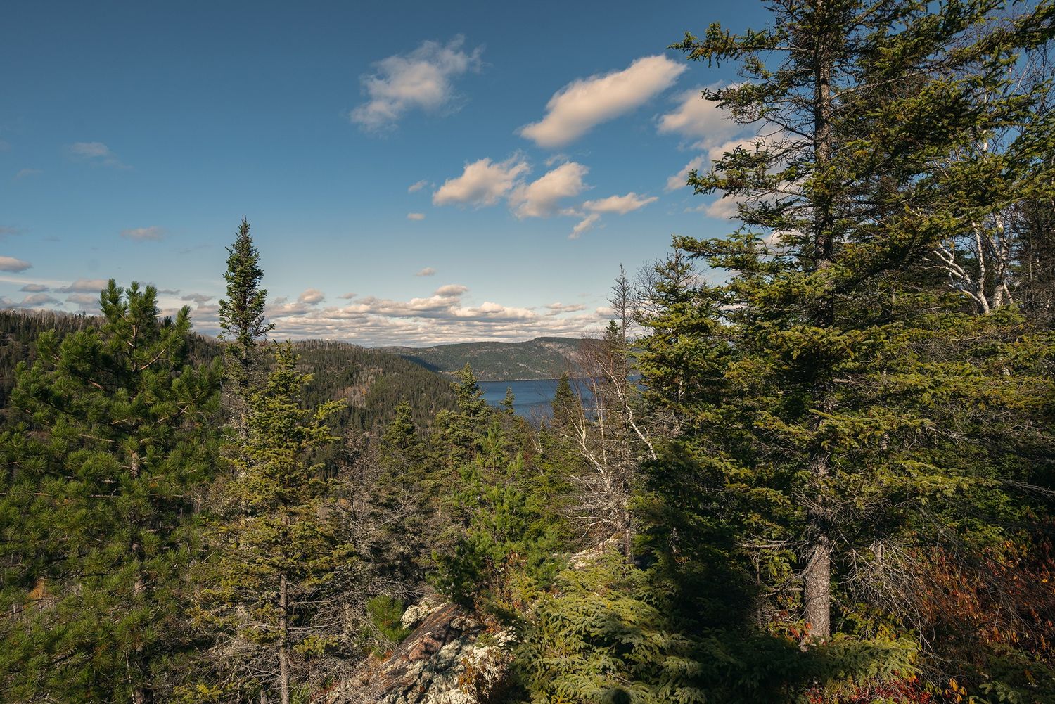 Terrain à bâtir et infrastructures d'un projet de Développements immobiliers près de Saguenay/Lac-Saint-Jean de Solifor