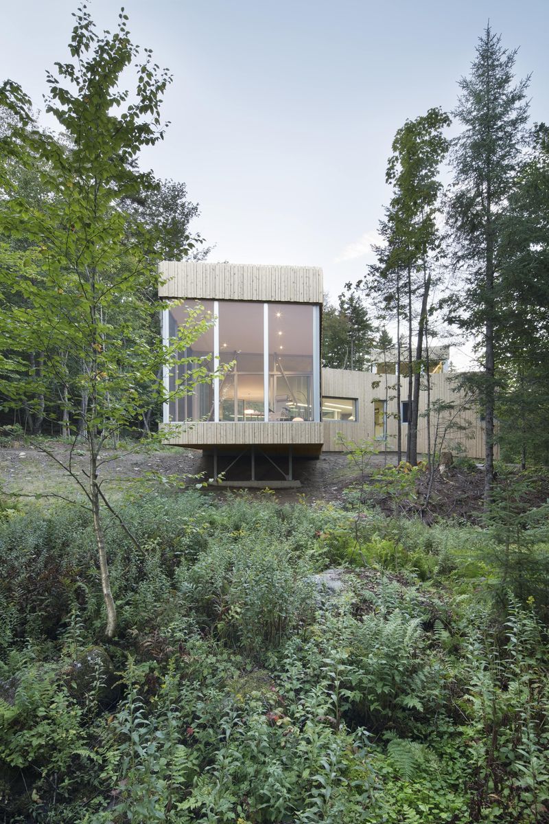 Backyard from a Single family homes project near Montreal (Greater Montreal) by Paul Bernier Architecte