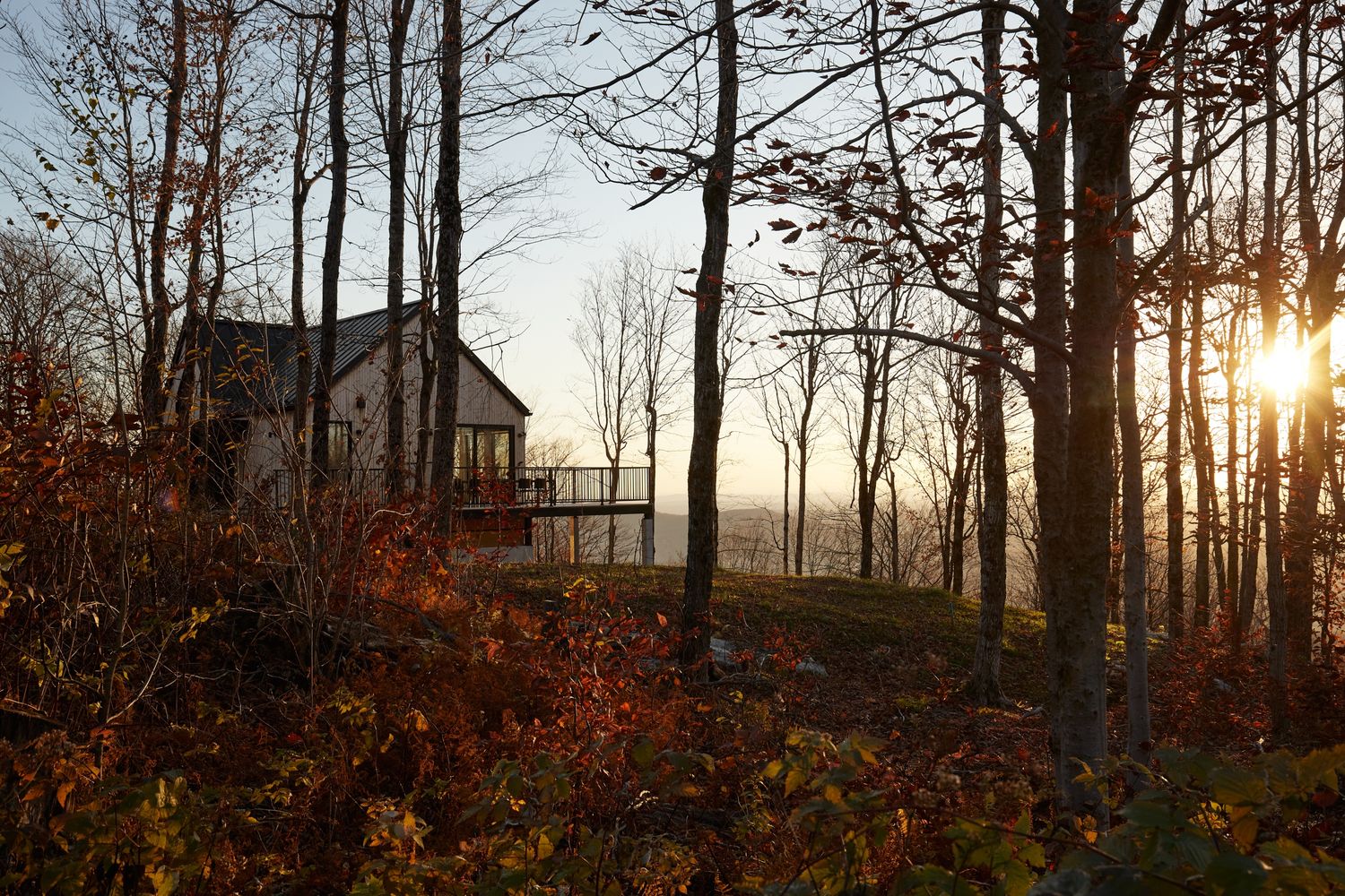 Cour arrière d'un projet de Maisons unifamiliales près de Granby/Bromont/Cowansville (Estrie) de Écorce architecture écologique