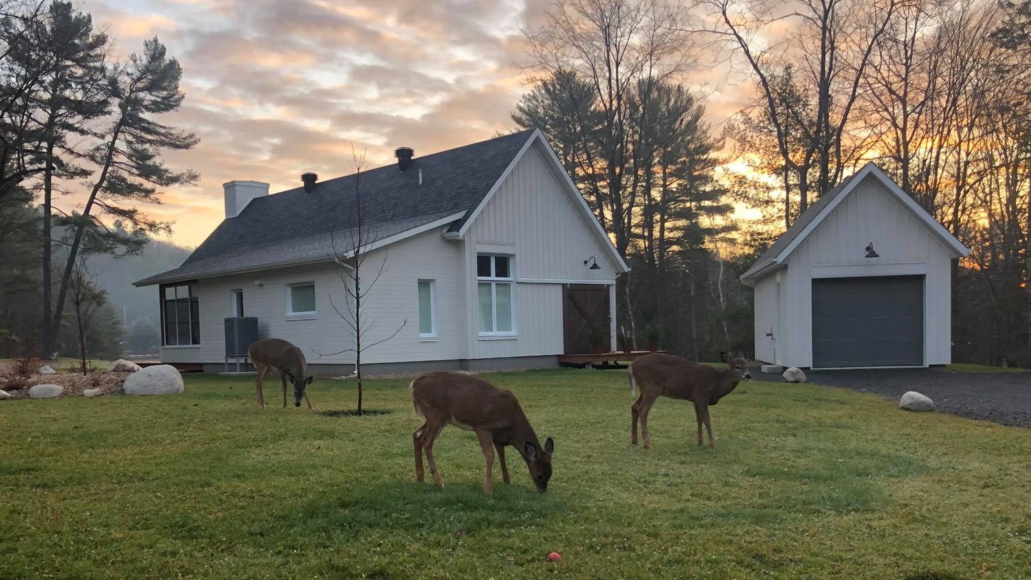 Front Yard from a Real Estate Developments project near Saint-Jerome (Laurentides) by Tessar constructions