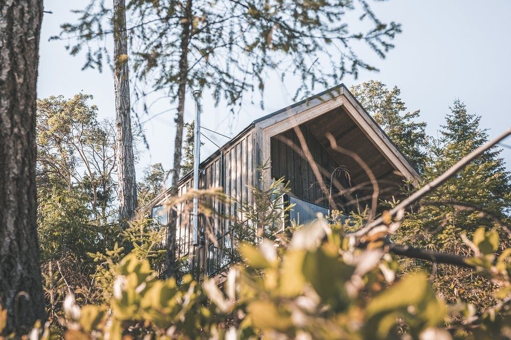 Backyard from a Prefab and Modular Houses project near Victoria by Blend Projects