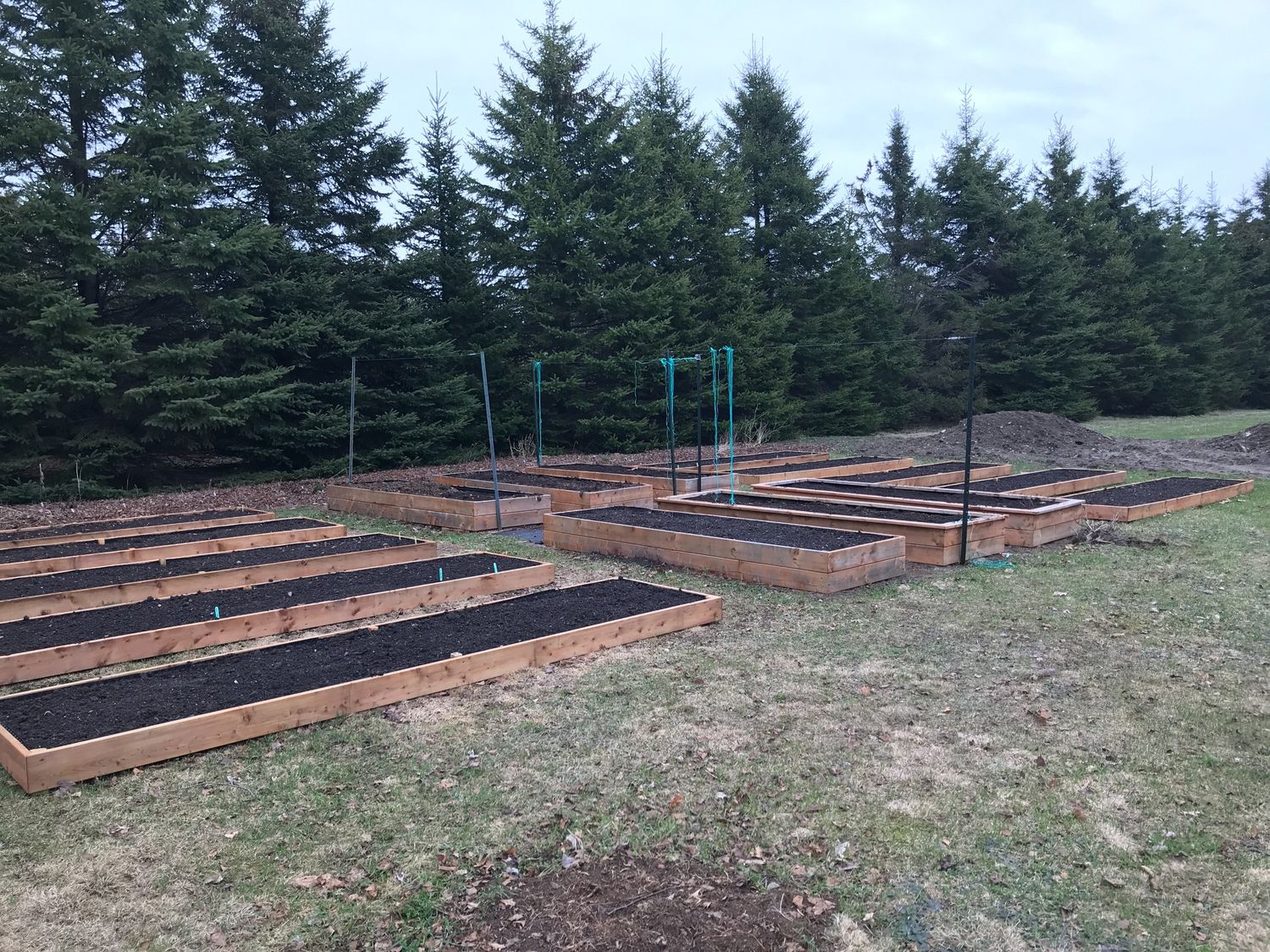 Garden from a Vegetable Garden project near Quebec City - Levis by AgroME-Consultant