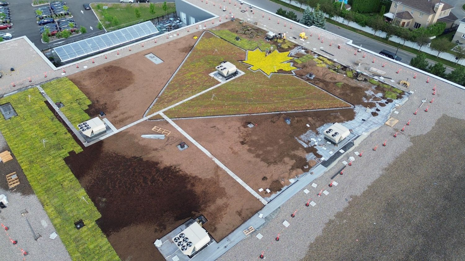 Techo y desván de un proyecto de tipo Techos verdes cerca de Montreal (Gran Montreal) por La Ligne Verte : Toit vert inc.
