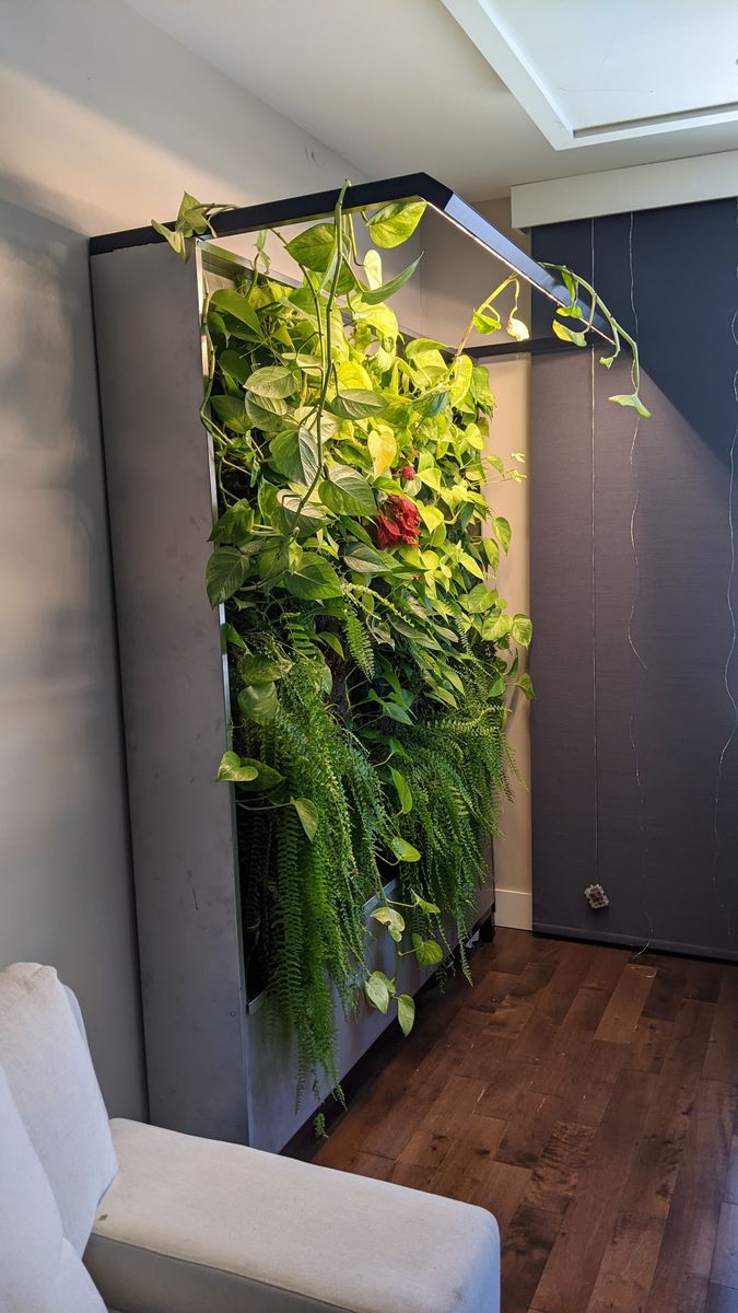 Huerto de un proyecto de tipo Muros verdes cerca de Montreal (Gran Montreal) por La Ligne Verte : Toit vert inc.