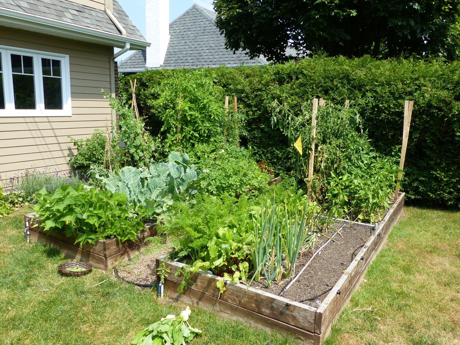 Garden from a Urban Agriculture project near Quebec City - Levis by AgroME-Consultant