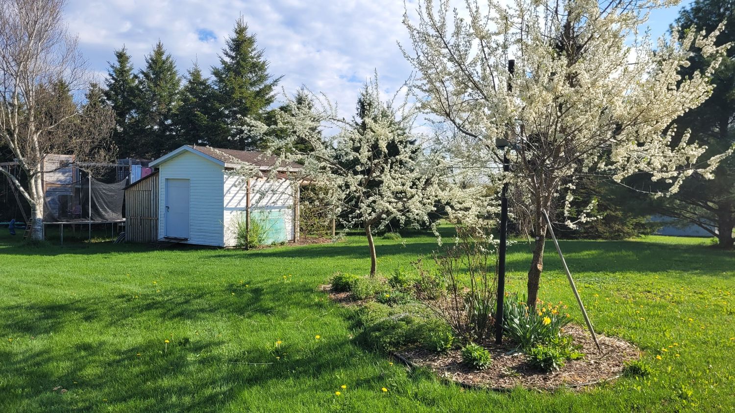Backyard from a Landscaping project near Quebec City - Levis by AgroME-Consultant