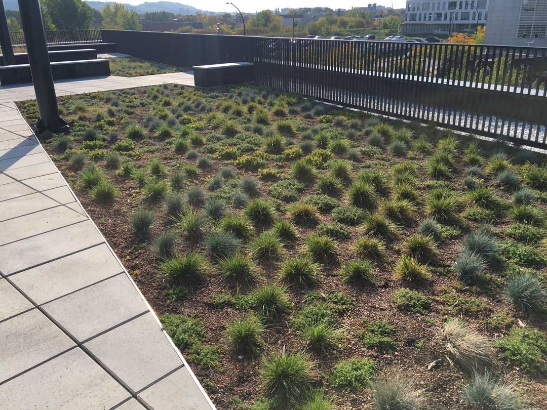 Terraza en la azotea de un proyecto de tipo Techos verdes cerca de Montreal (Gran Montreal) por La Ligne Verte : Toit vert inc.