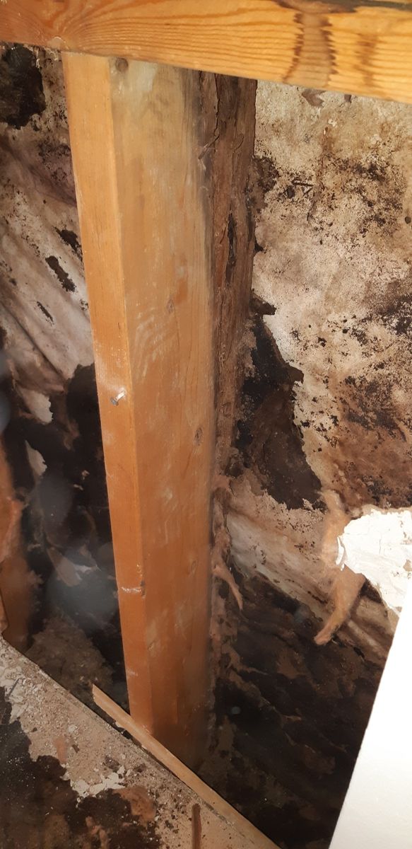 Before Starting Renovations from a Building Structures project near Montreal (Greater Montreal) by Construction patco