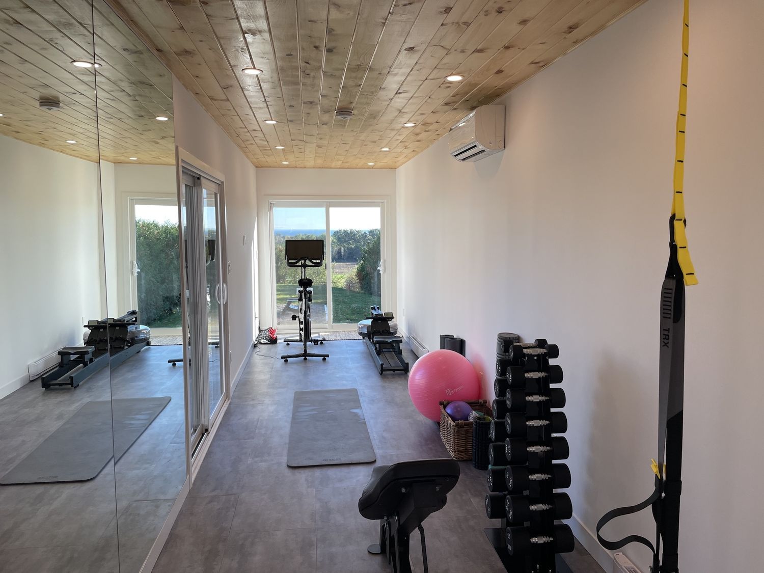 Gym from a Accessory Dwelling Units (ADUs) project near Toronto (Greater Toronto) by Ballance Containers