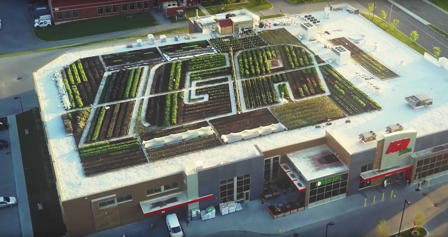 Vue aérienne d'un projet de Toitures végétalisées près de Montréal/Laval/Longueuil (Grand Montréal) de La Ligne Verte : Toit vert inc.