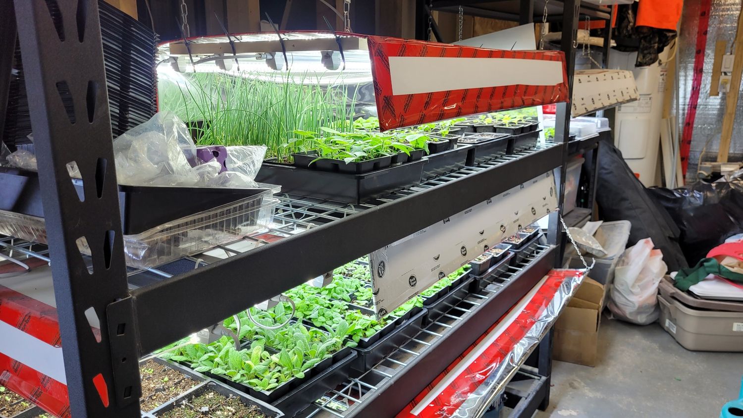 Land & Services from a Seedling project near Quebec City - Levis by AgroME-Consultant