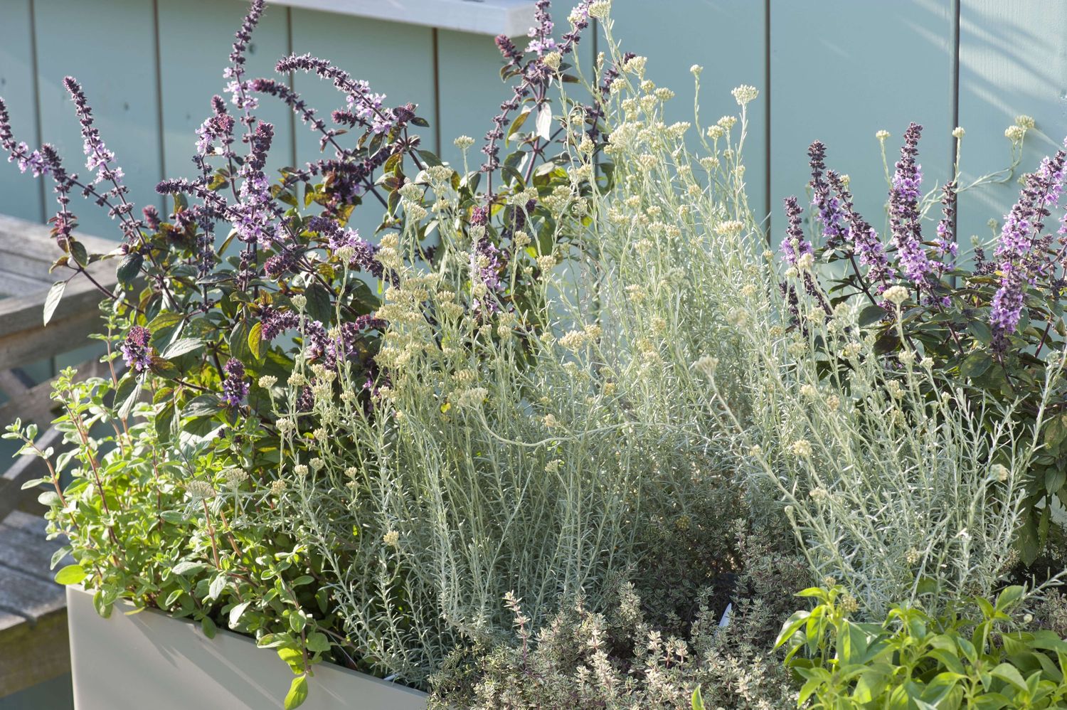 Flower bed from a Landscaping project near Saint-Jean-sur-Richelieu (Montérégie) by les spontanés