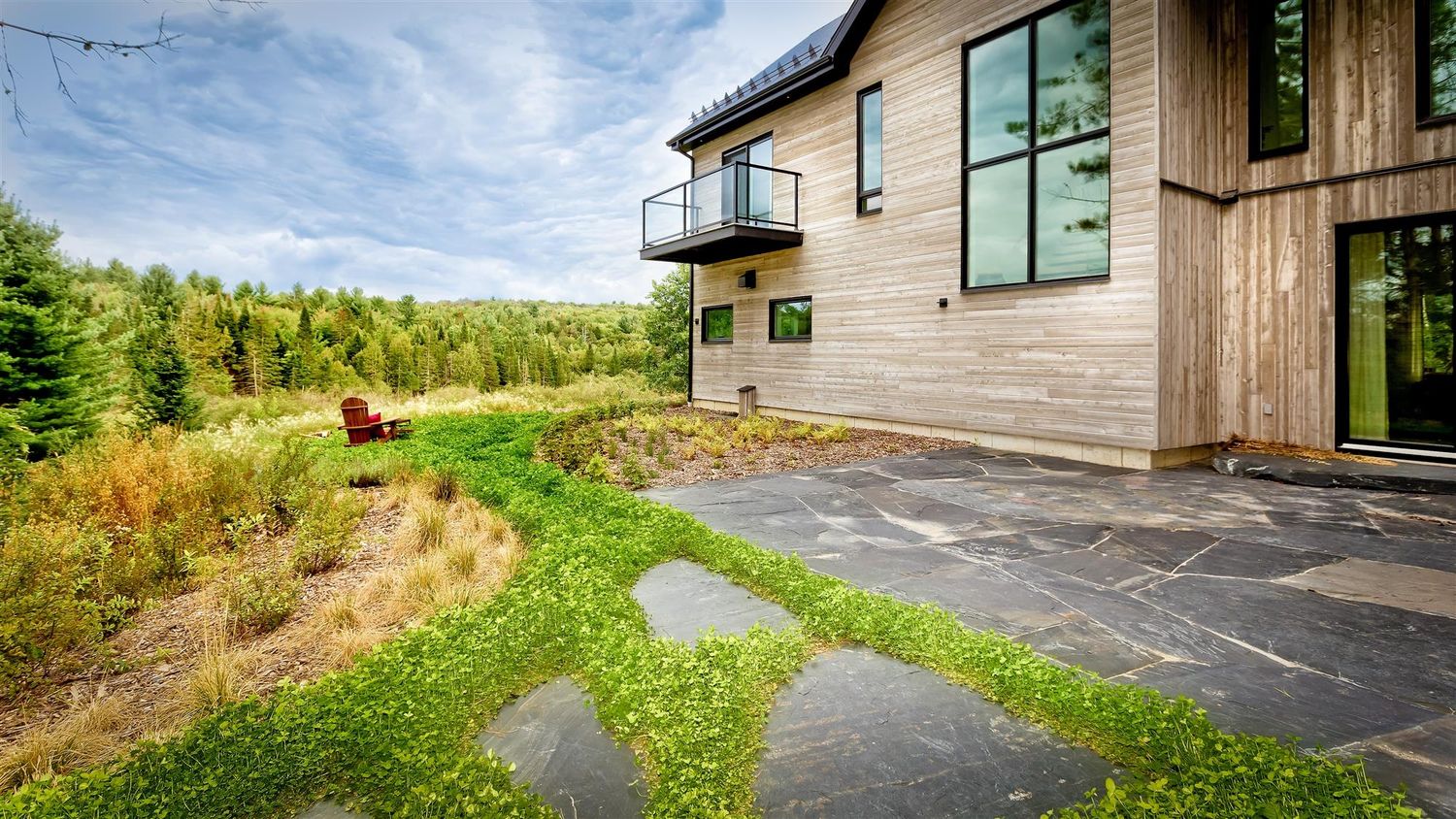 Cour avant d'un projet de Plantes indigènes près de Sherbrooke (Estrie) de Stéphanie Desmeules Paysages Spirituels et Thérapeutiques