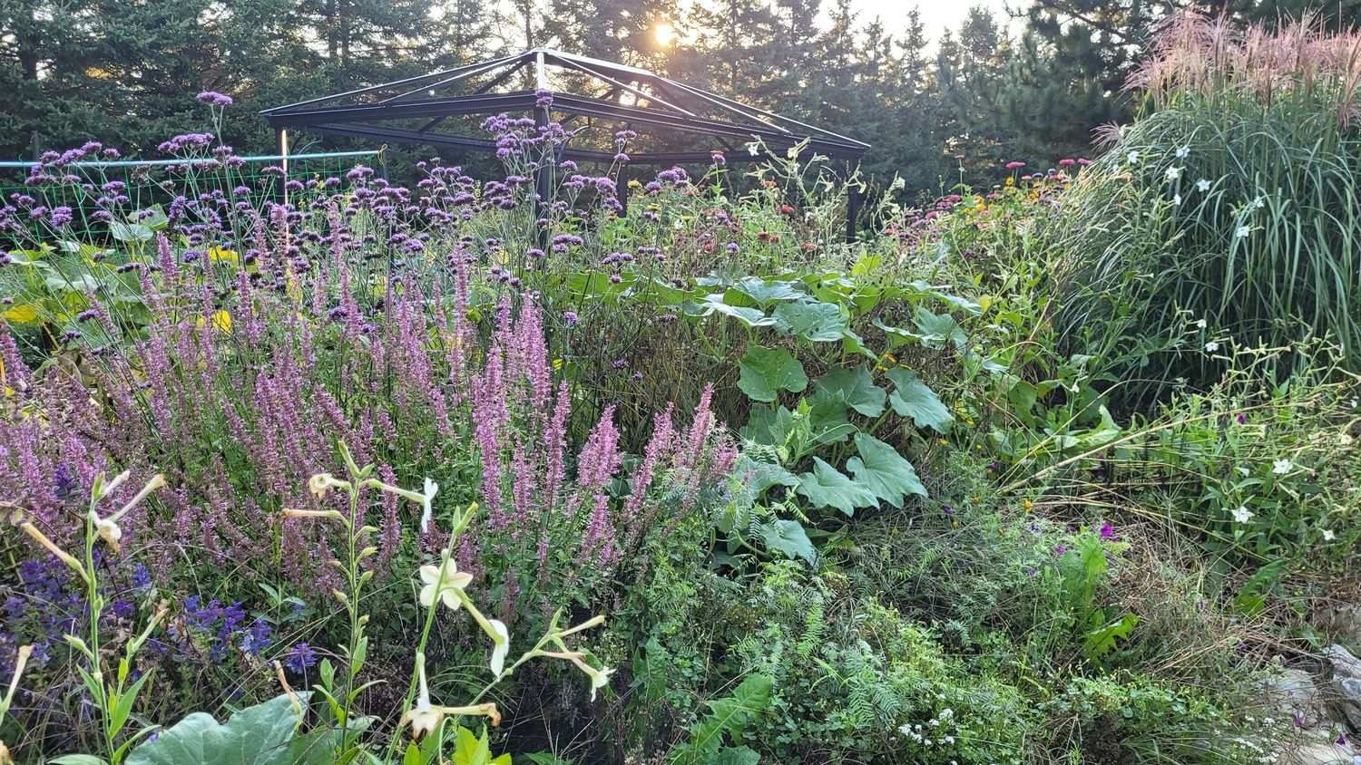 Garden from a Vegetable Garden project near Quebec City - Levis by AgroME-Consultant