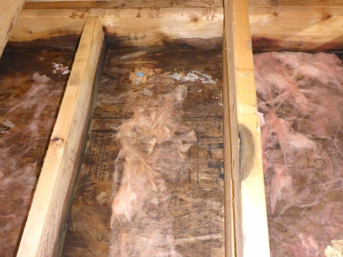 Before Starting Renovations from a Building inspection project near Montreal (Greater Montreal) by Lab'eauairsol