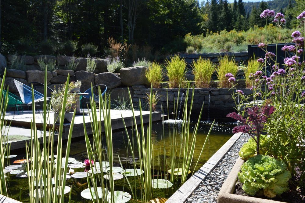 Backyard from a Natural swimming pools project near Quebec City - Levis by Repères