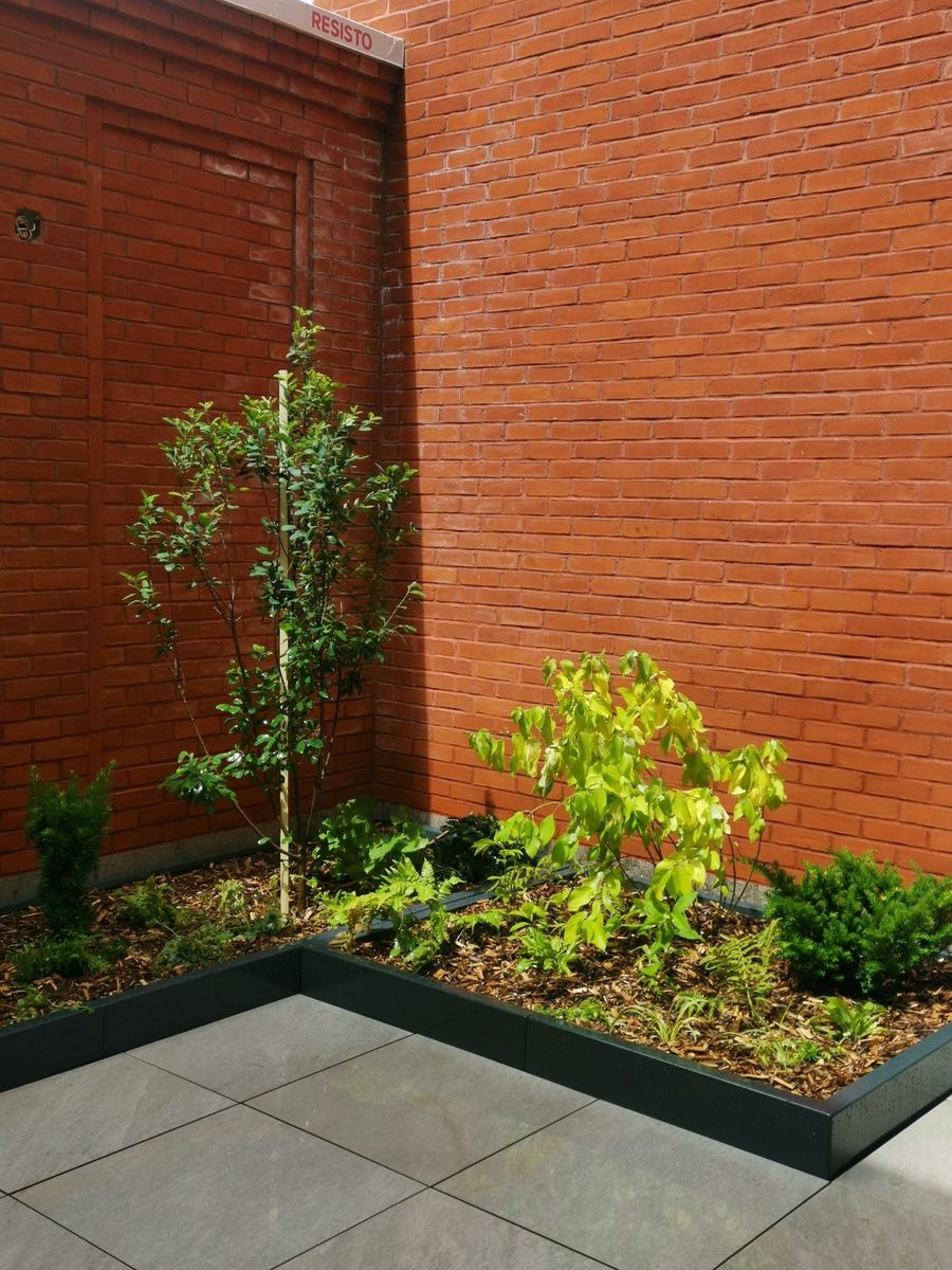 Plate-bande d'un projet de Terrasses sur toit et mezzanines près de Montréal/Laval/Longueuil (Grand Montréal) de La Ligne Verte : Toit vert inc.