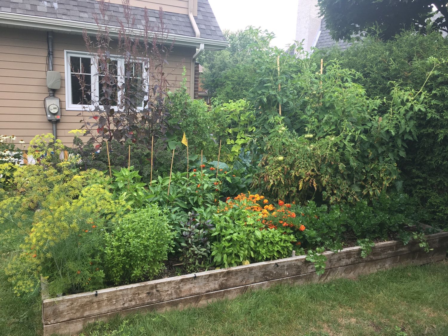 Garden from a Urban Agriculture project near Quebec City - Levis by AgroME-Consultant