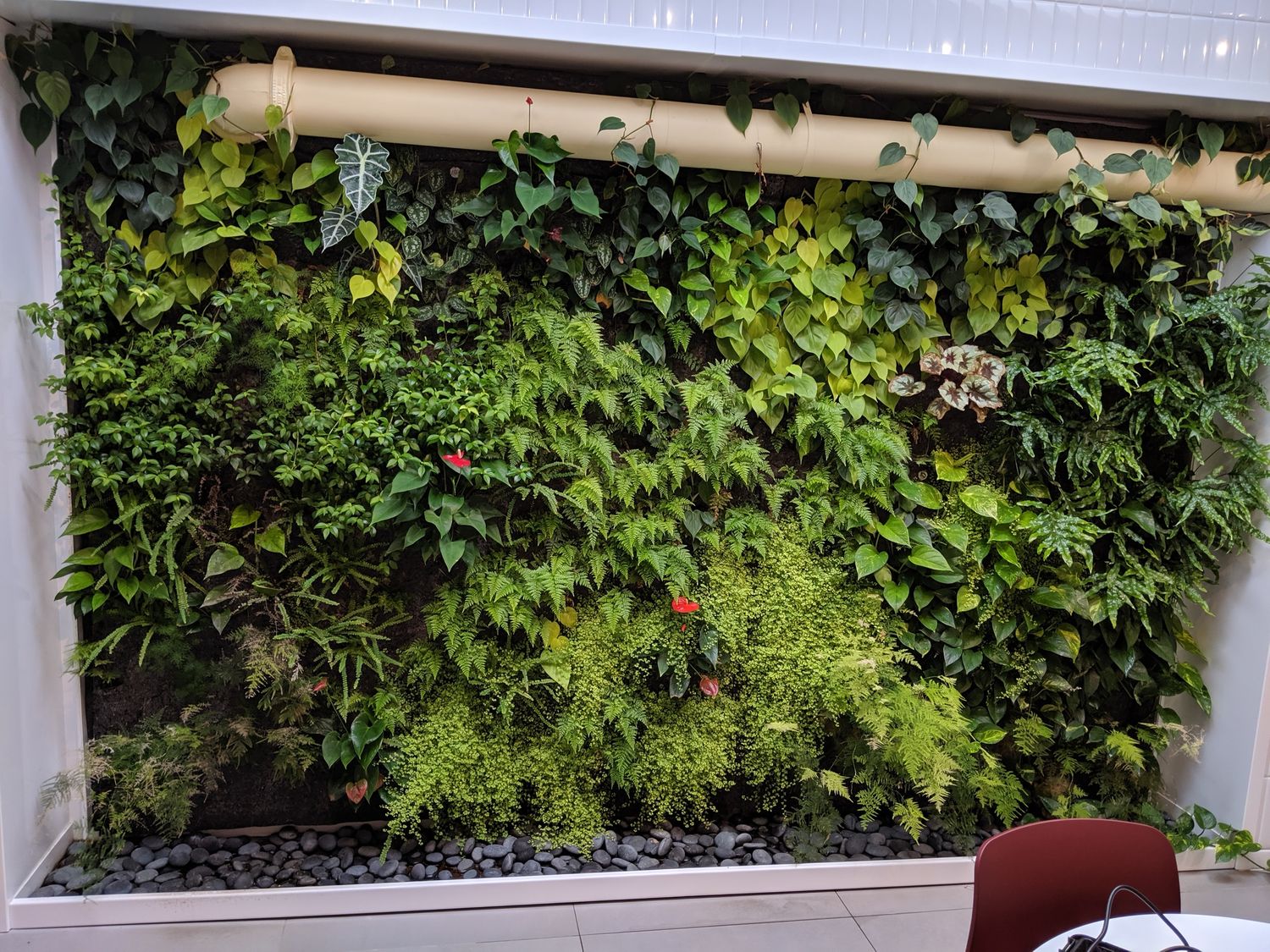 Comedor de un proyecto de tipo Muros verdes cerca de Montreal (Gran Montreal) por La Ligne Verte : Toit vert inc.