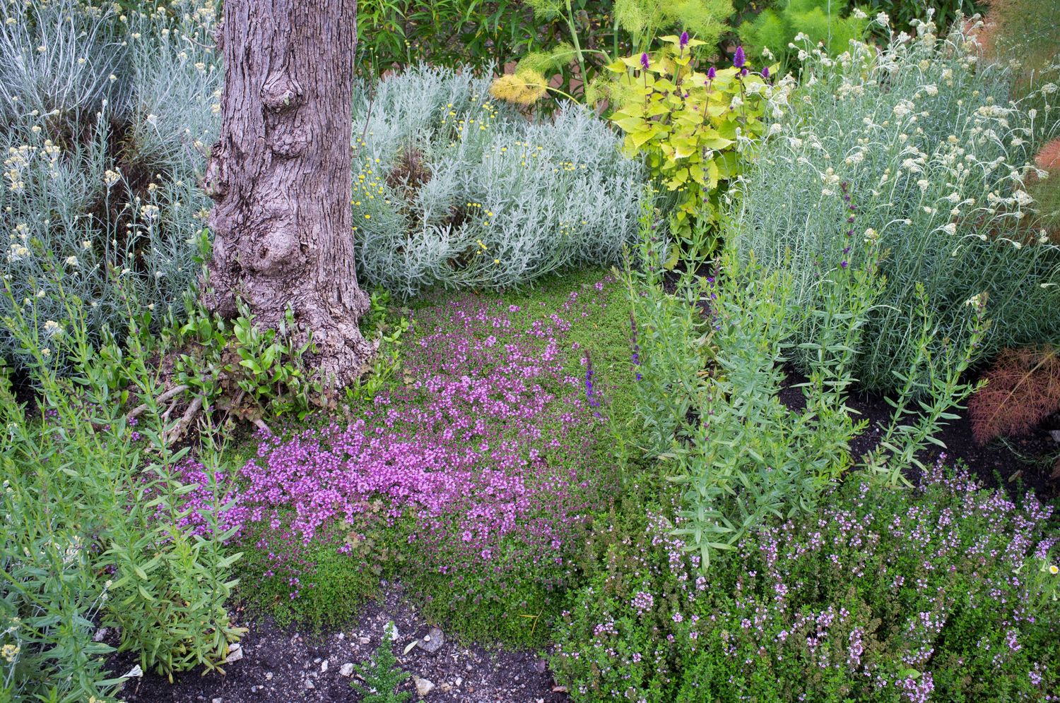 Flower bed from a Landscaping project near Saint-Jean-sur-Richelieu (Montérégie) by les spontanés