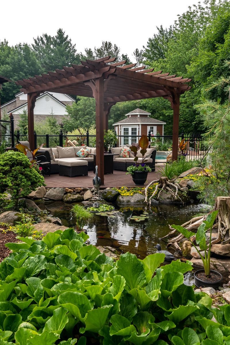 Pool & Natural Pond from a Natural plasters project near Montreal (Greater Montreal) by ÉcoSélection