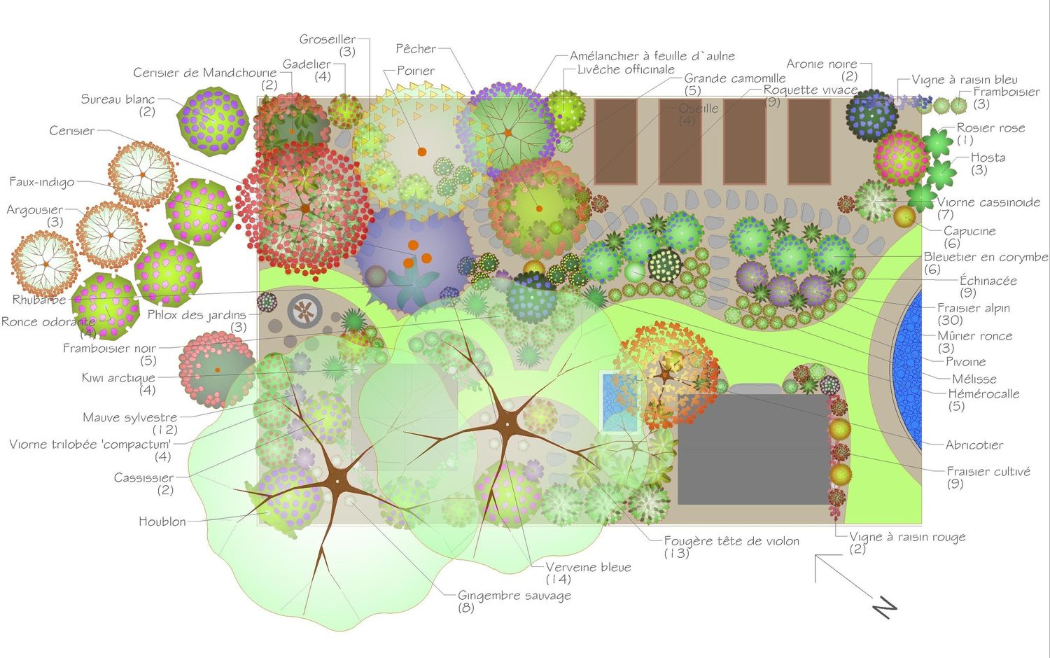 Plan d'aménagement paysager d'un projet de Fleurs, plantes et arbustes extérieur près de Montréal/Laval/Longueuil (Grand Montréal) de Paysage gourmand