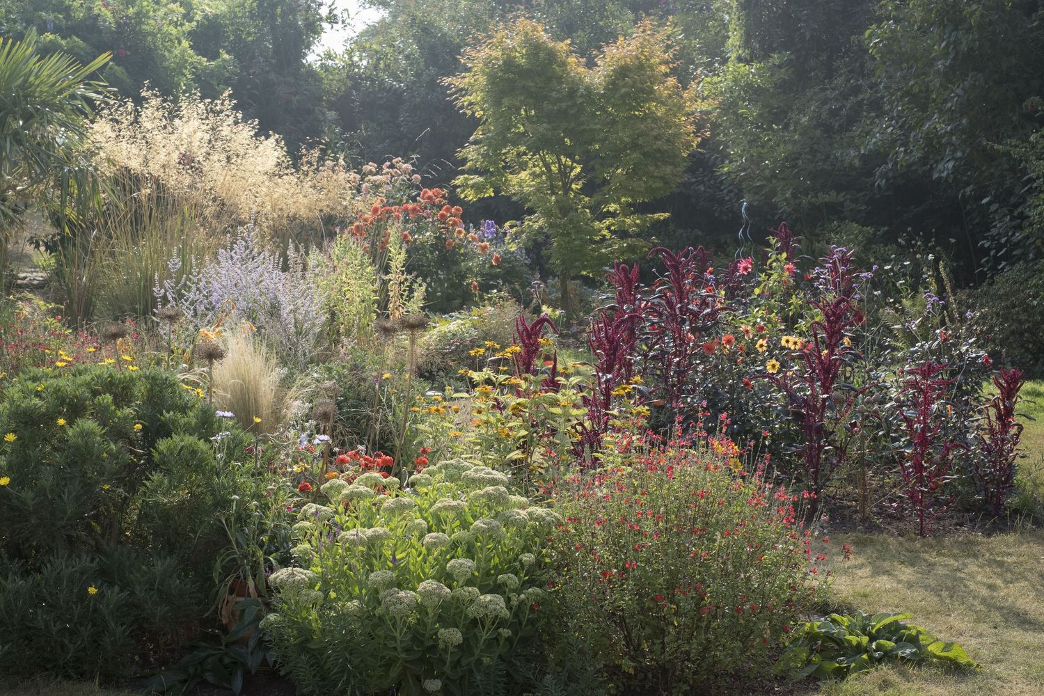 Garden from a Landscaping project near Montreal (Greater Montreal) by les spontanés