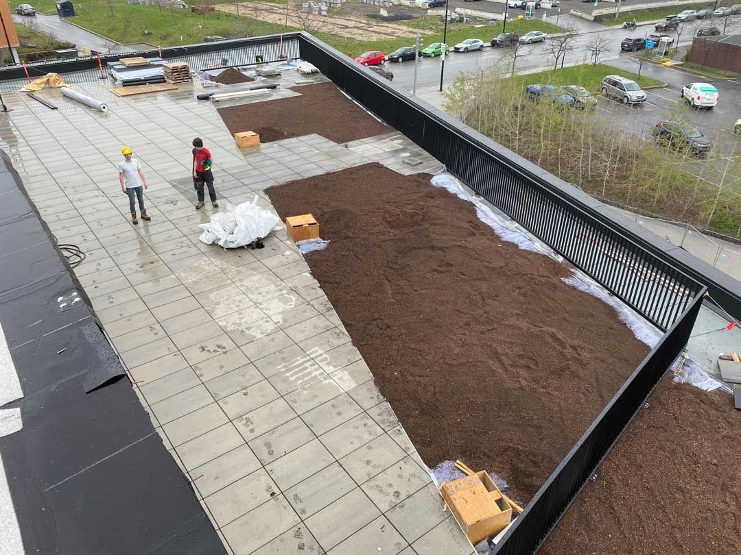Terraza en la azotea de un proyecto de tipo Techos verdes cerca de Montreal (Gran Montreal) por La Ligne Verte : Toit vert inc.