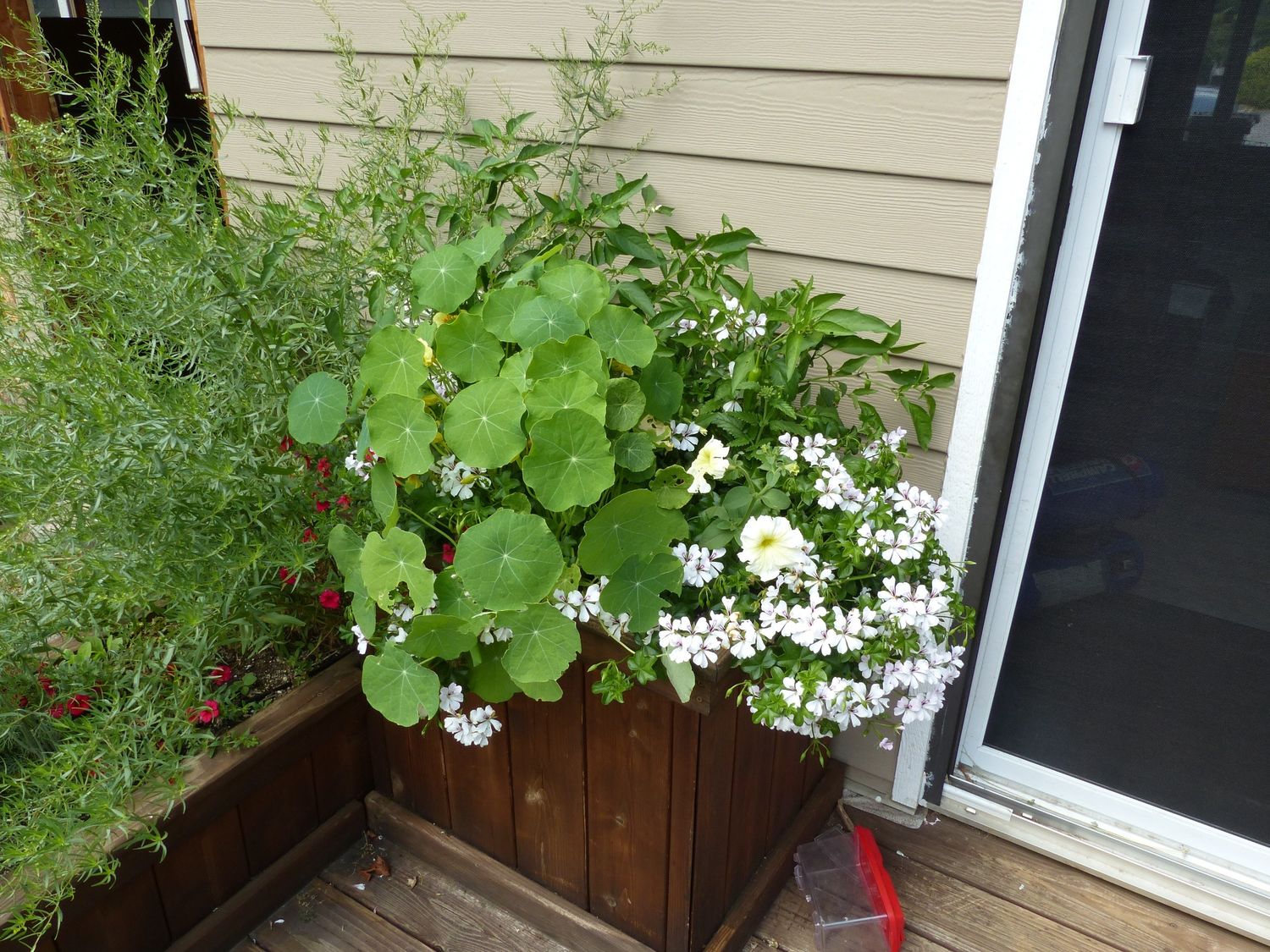 Flower bed from a Urban Agriculture project near Quebec City - Levis by AgroME-Consultant