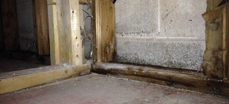 Preventing mould when you insulate your basement Ecohome